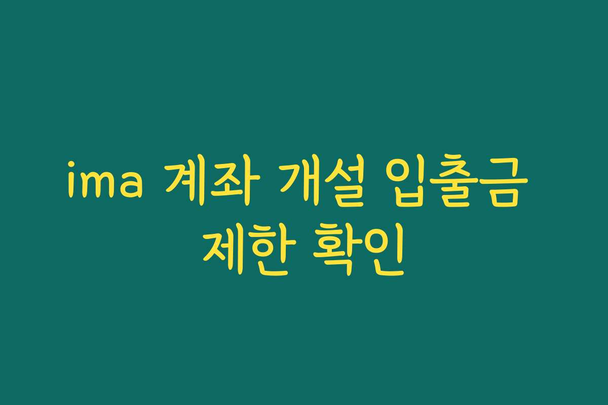 ima 계좌 개설 입출금 제한 확인