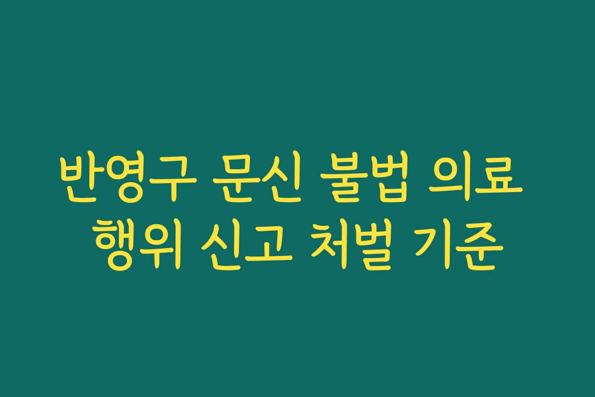 반영구 문신 불법 의료 행위 신고 처벌 기준