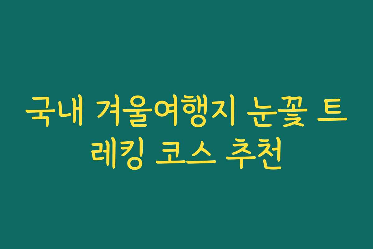 국내 겨울여행지 눈꽃 트레킹 코스 추천