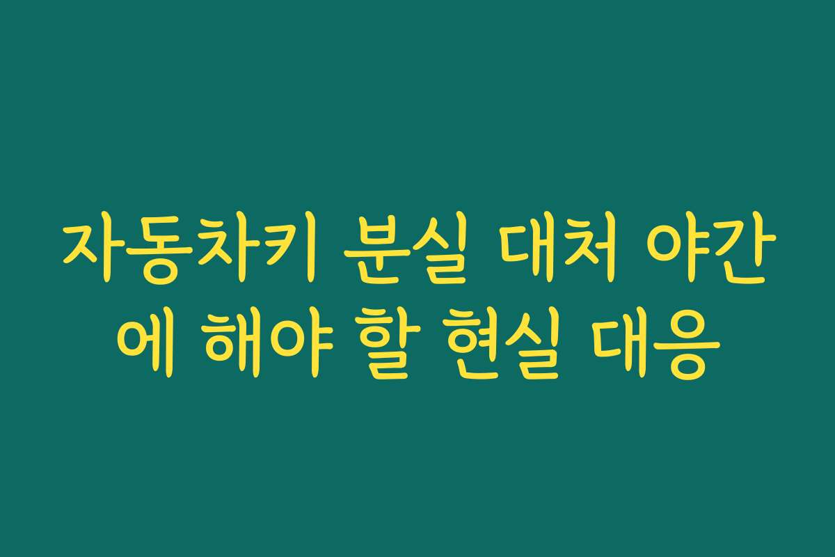 자동차키 분실 대처 야간에 해야 할 현실 대응