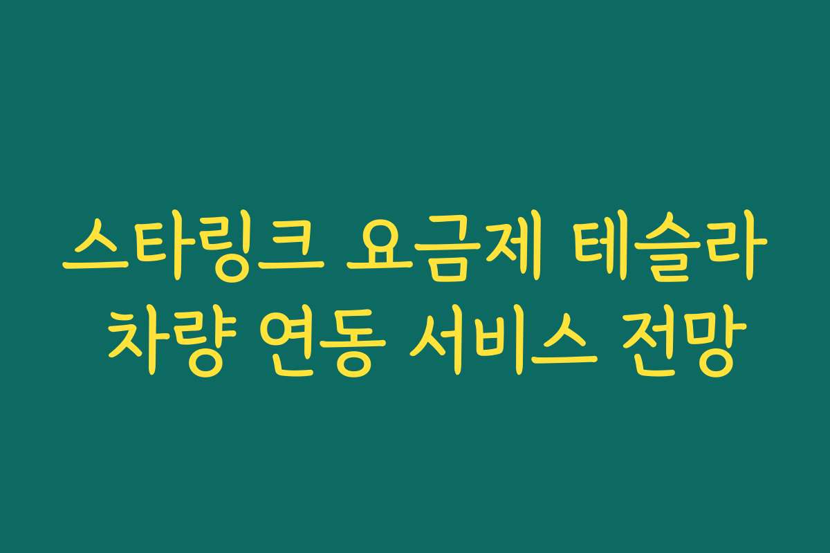 스타링크 요금제 테슬라 차량 연동 서비스 전망