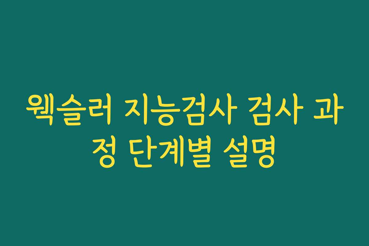 웩슬러 지능검사 검사 과정 단계별 설명
