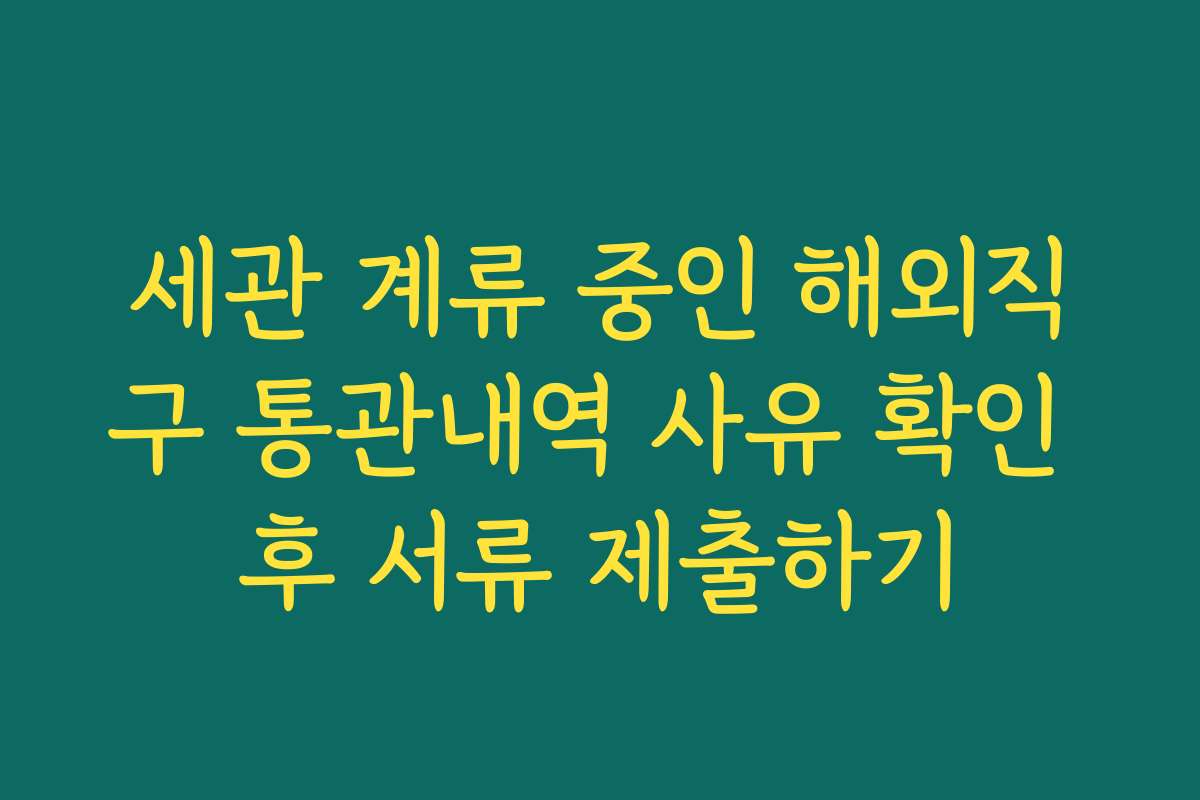세관 계류 중인 해외직구 통관내역 사유 확인 후 서류 제출하기 세관 계류 중인 해외직구 통관내역 사유 확인 후 서류 제출하기