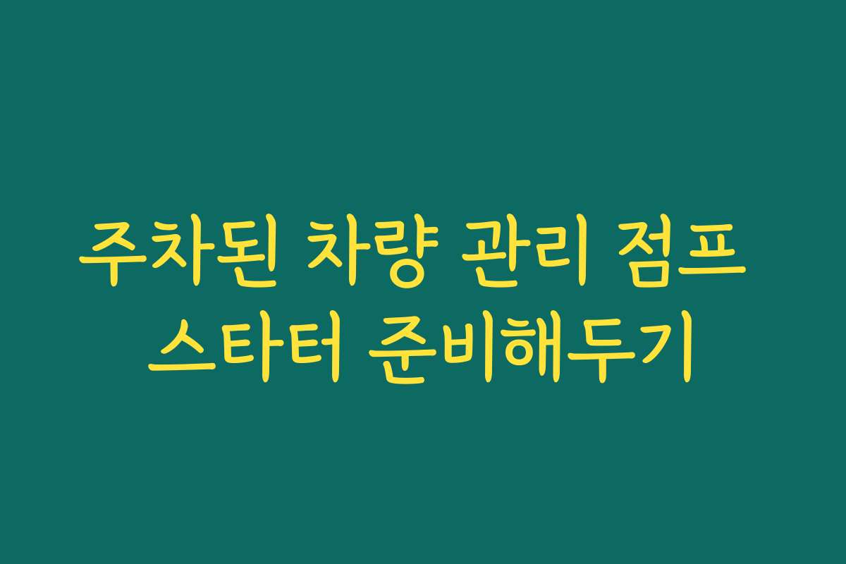 주차된 차량 관리 점프 스타터 준비해두기