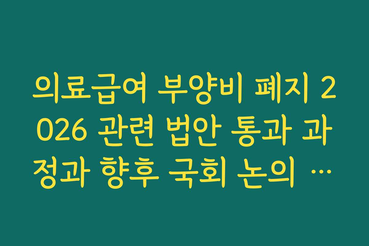 의료급여 부양비 폐지 2026 관련 법안 통과 과정과 향후 국회 논의 쟁점
