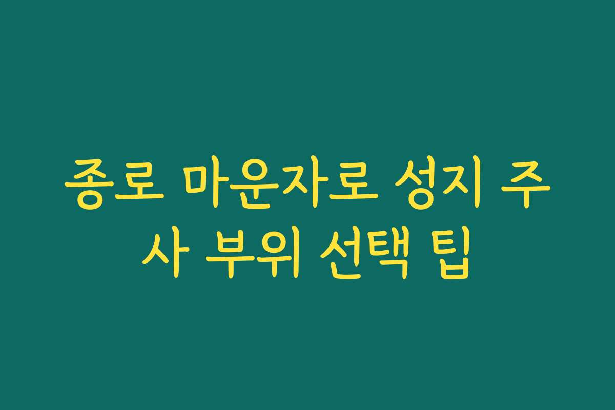 종로 마운자로 성지 주사 부위 선택 팁