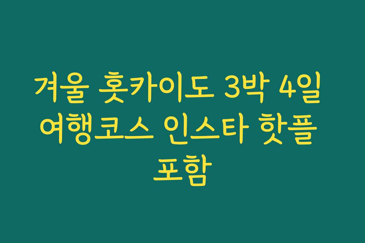 겨울 홋카이도 3박 4일 여행코스 인스타 핫플 포함