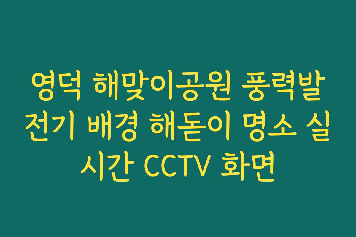 영덕 해맞이공원 풍력발전기 배경 해돋이 명소 실시간 CCTV 화면