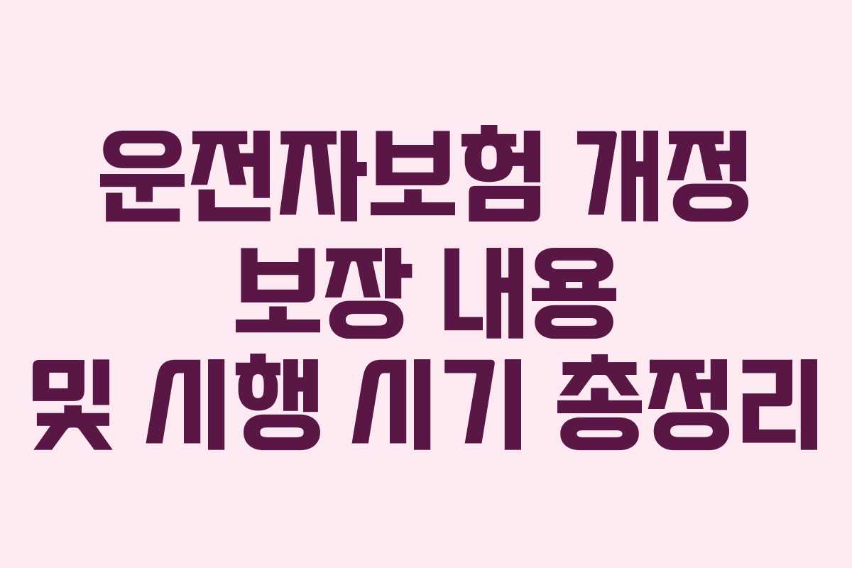 운전자보험 개정 보장 내용 및 시행 시기 총정리 운전자보험 개정 보장 내용 및 시행 시기 총정리
