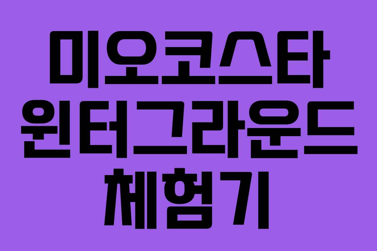 미오코스타 윈터그라운드 체험기