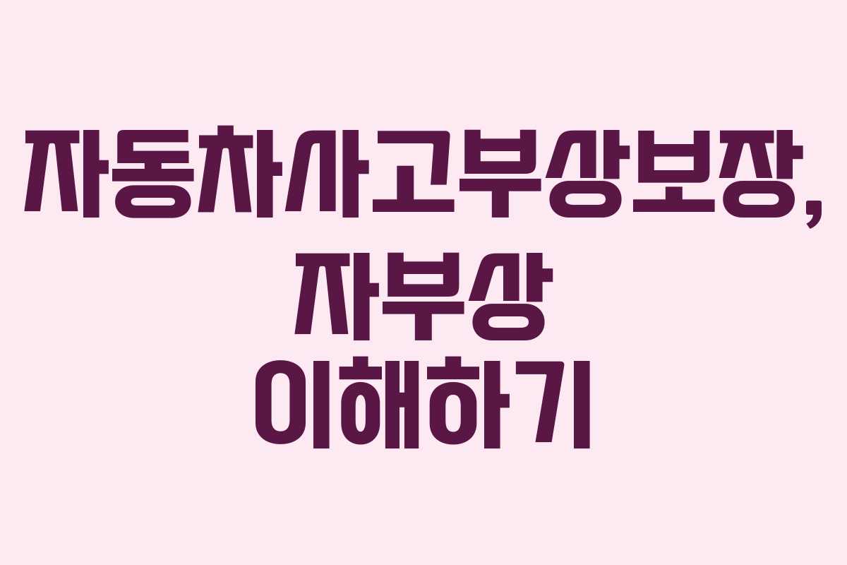 자동차사고부상보장, 자부상 이해하기 자동차사고부상보장, 자부상 이해하기