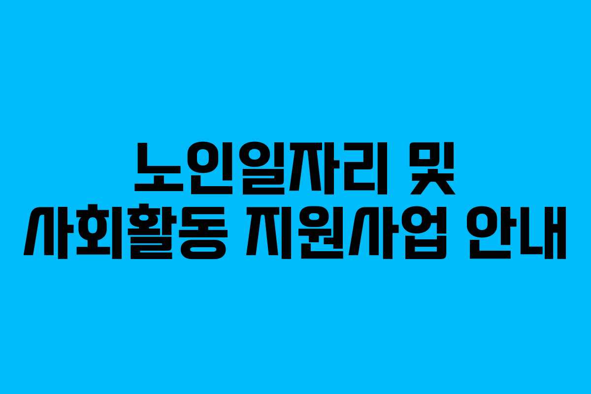 노인일자리 및 사회활동 지원사업 안내