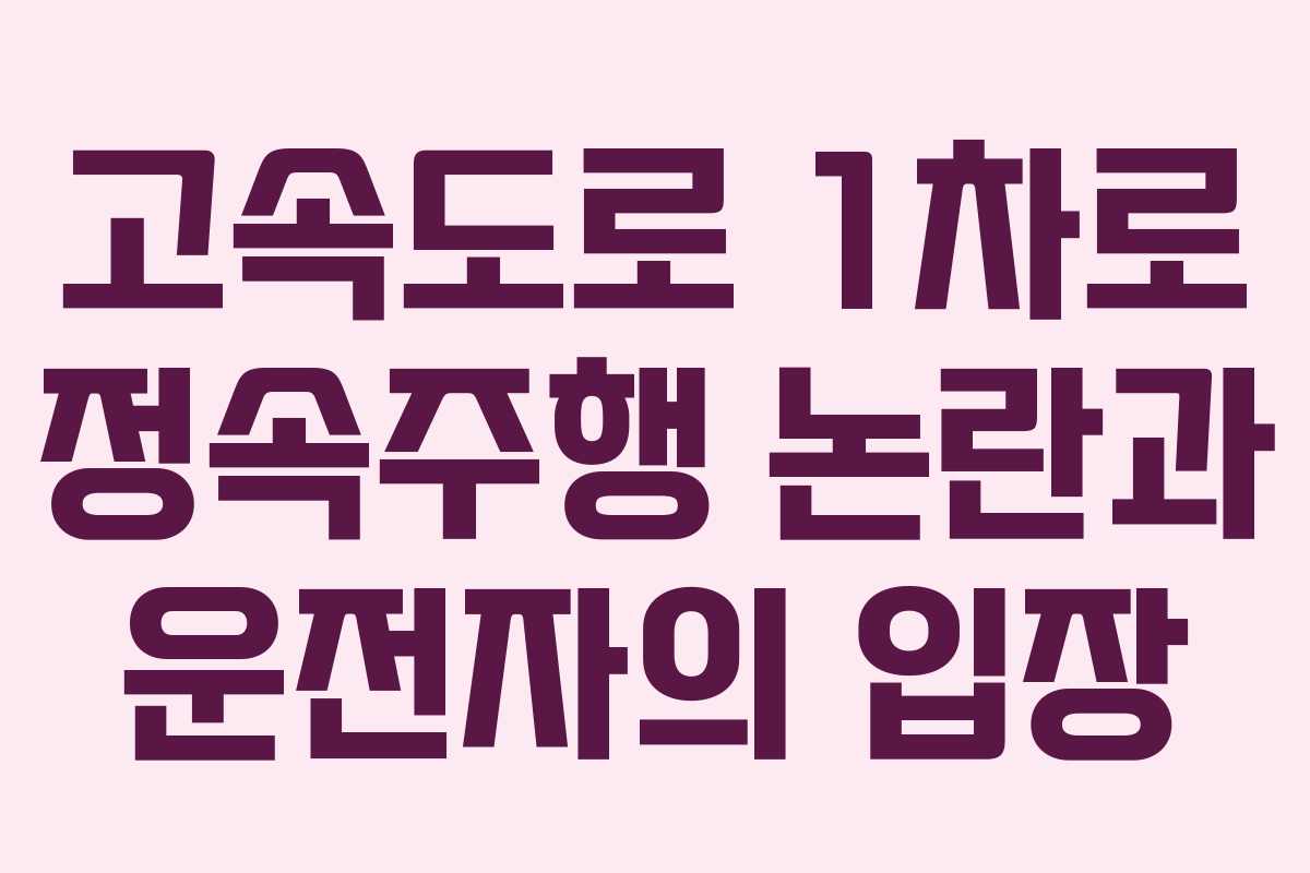 고속도로 1차로 정속주행 논란과 운전자의 입장