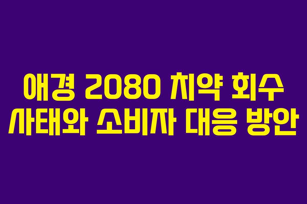 애경 2080 치약 회수 사태와 소비자 대응 방안 애경 2080 치약 회수 사태와 소비자 대응 방안