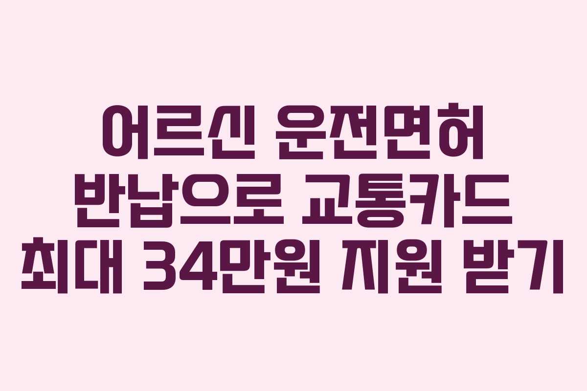 어르신 운전면허 반납으로 교통카드 최대 34만원 지원 받기