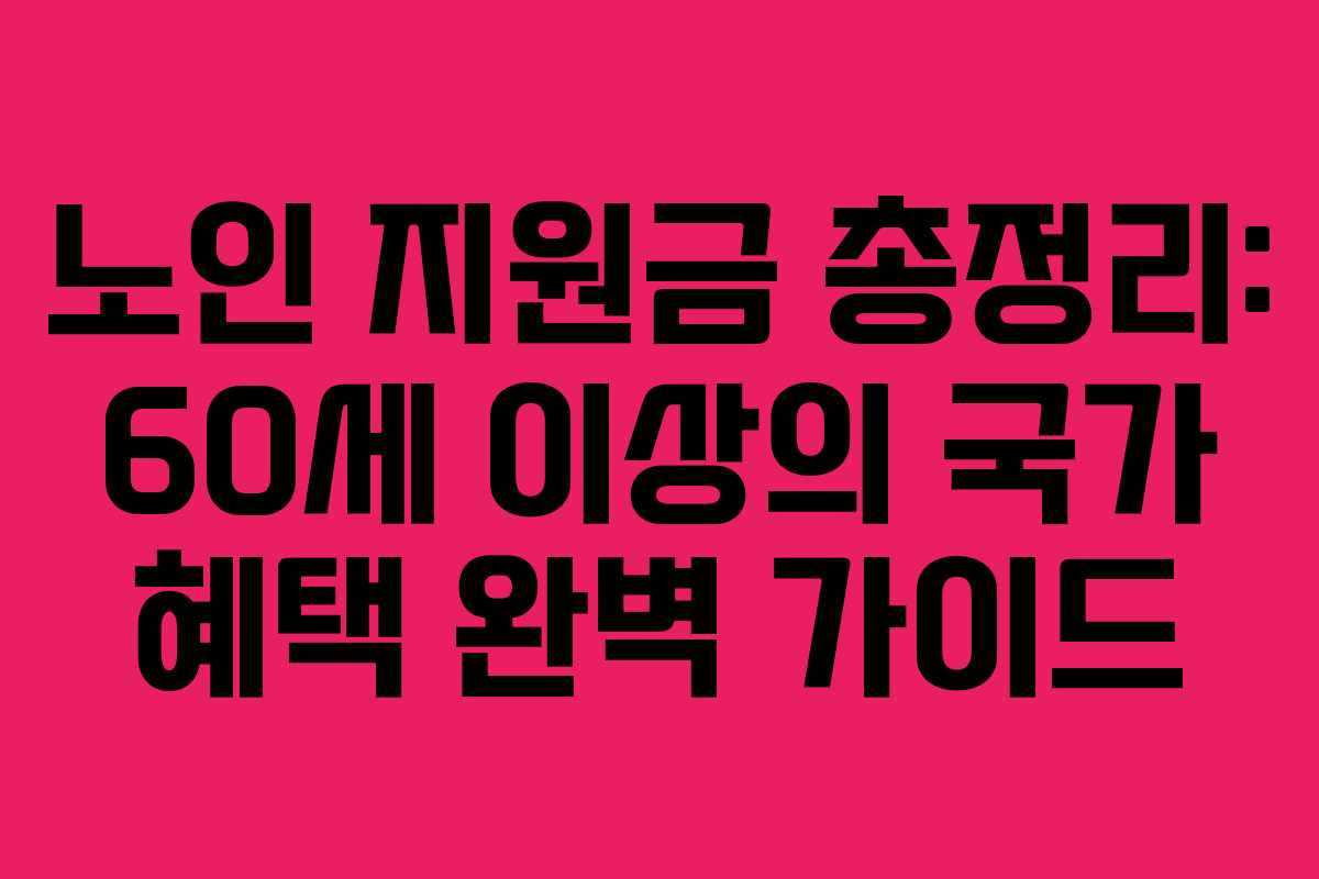 노인 지원금 총정리: 60세 이상의 국가 혜택 완벽 가이드