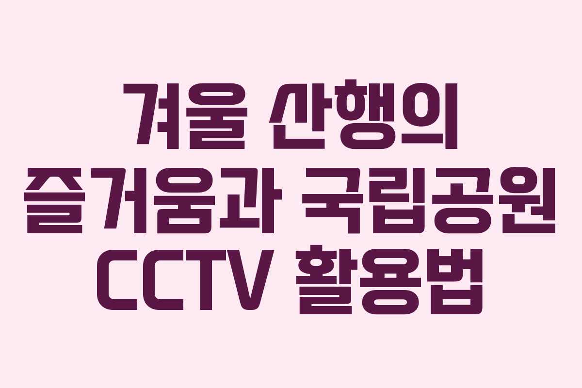 겨울 산행의 즐거움과 국립공원 CCTV 활용법