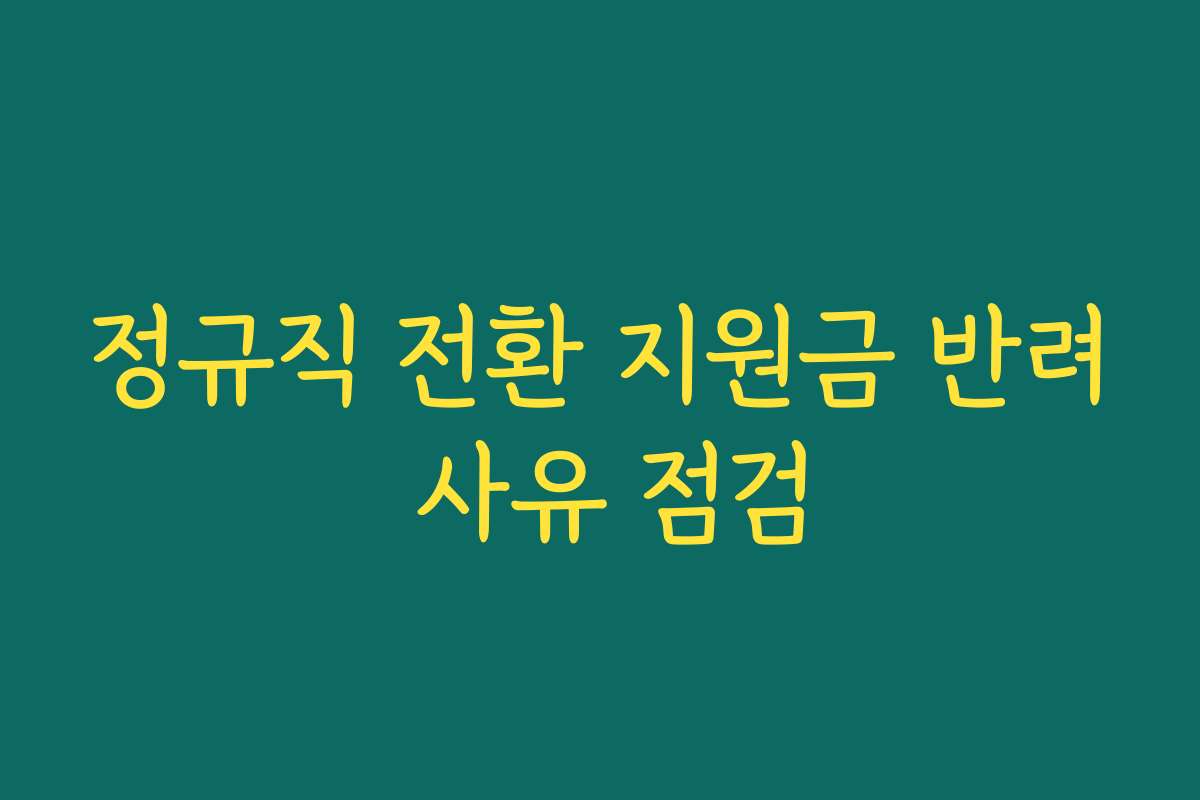 정규직 전환 지원금 반려 사유 점검 정규직 전환 지원금 반려 사유 점검