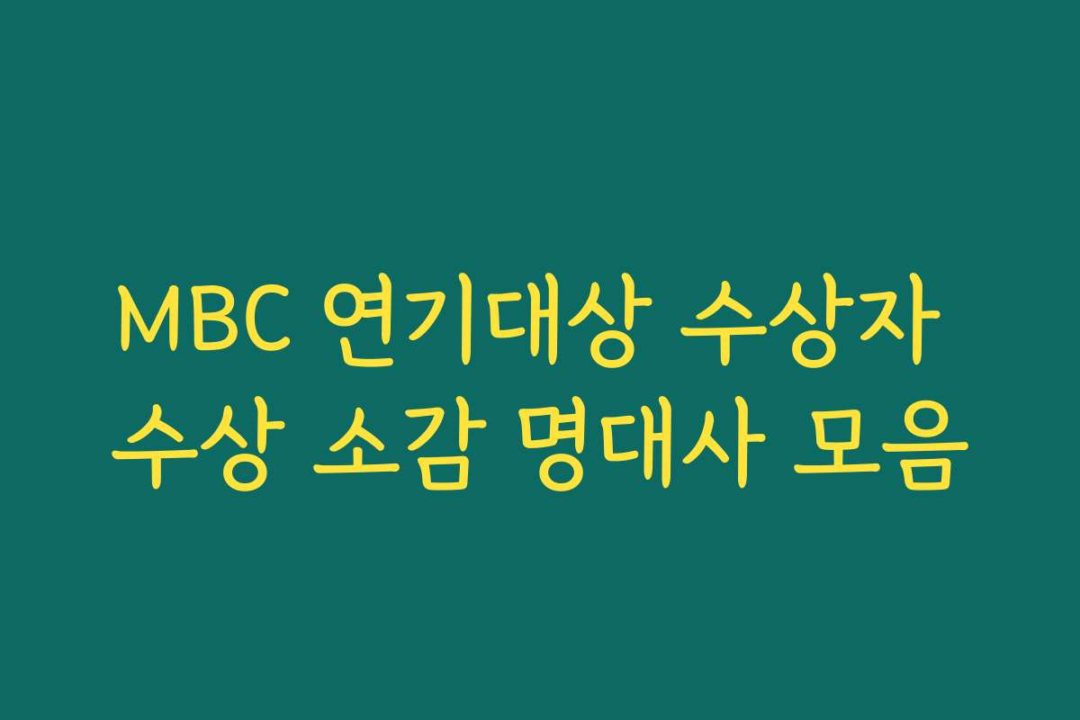 MBC 연기대상 수상자 수상 소감 명대사 모음 MBC 연기대상 수상자 수상 소감 명대사 모음