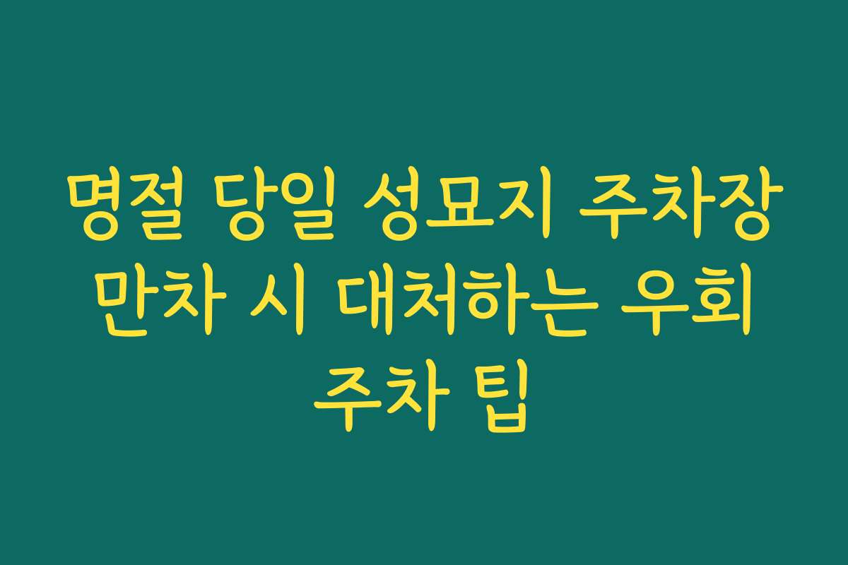명절 당일 성묘지 주차장 만차 시 대처하는 우회 주차 팁