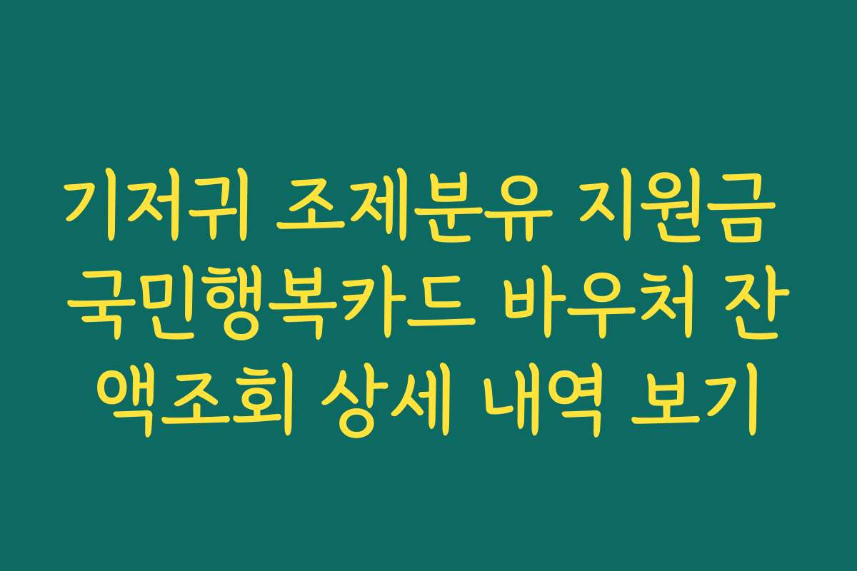기저귀 조제분유 지원금 국민행복카드 바우처 잔액조회 상세 내역 보기