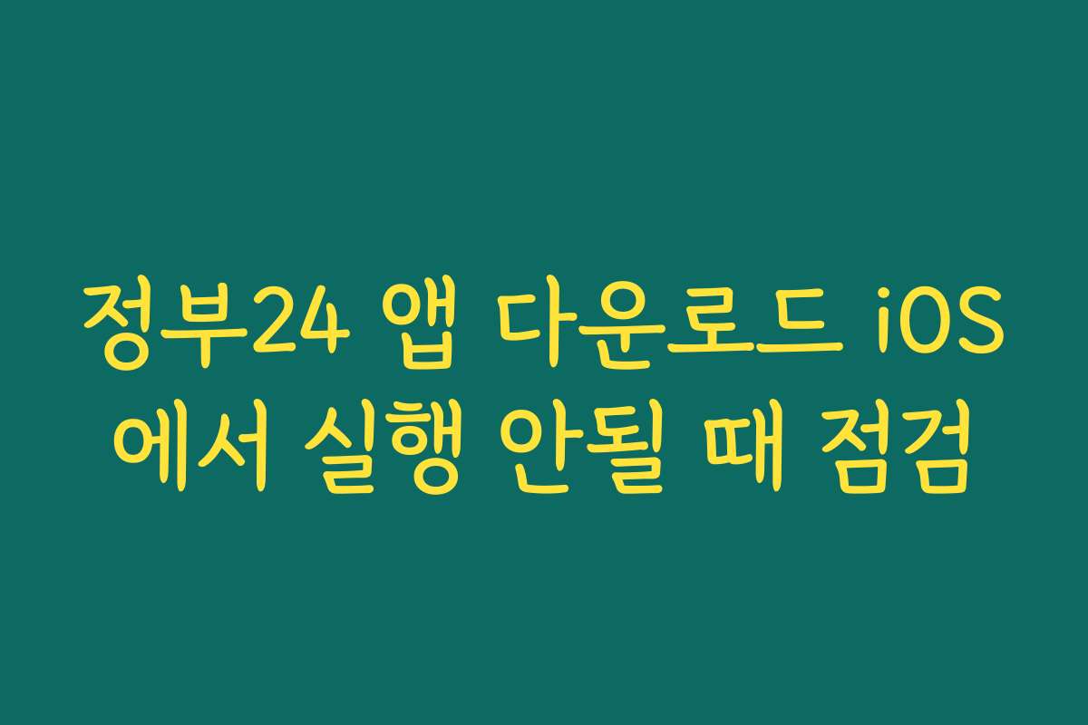 정부24 앱 다운로드 iOS에서 실행 안될 때 점검