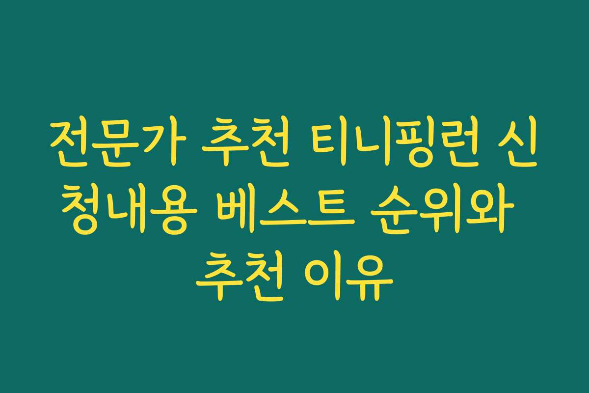 전문가 추천 티니핑런 신청내용 베스트 순위와 추천 이유