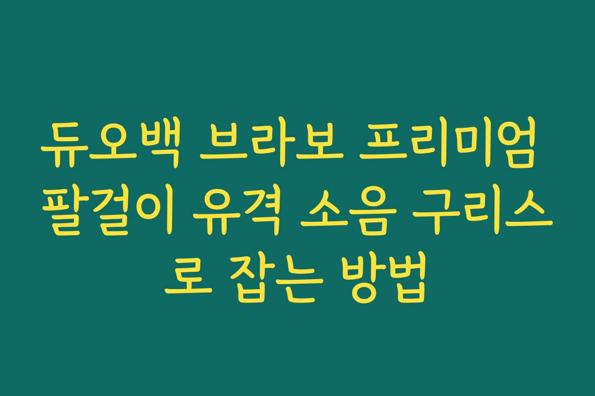 듀오백 브라보 프리미엄 팔걸이 유격 소음 구리스로 잡는 방법