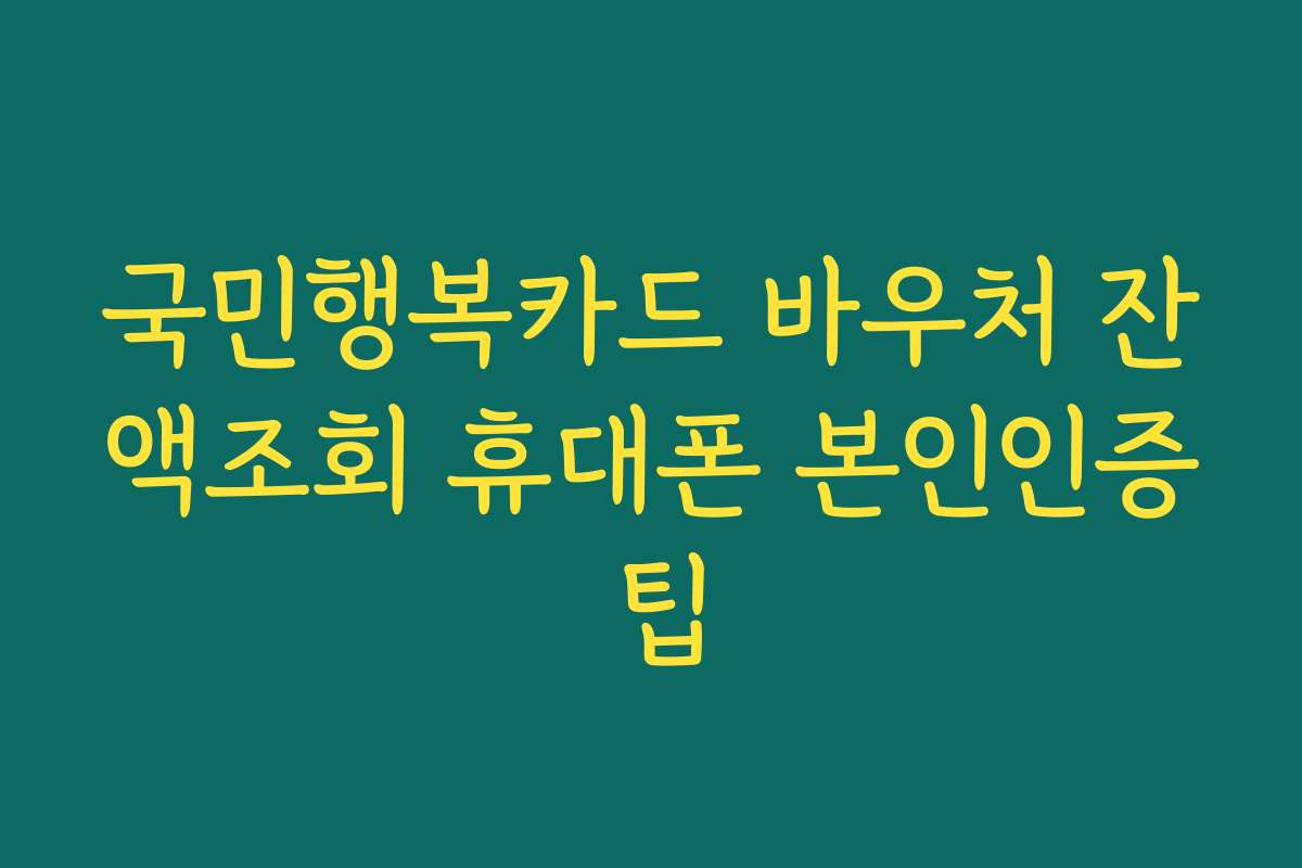 국민행복카드 바우처 잔액조회 휴대폰 본인인증 팁