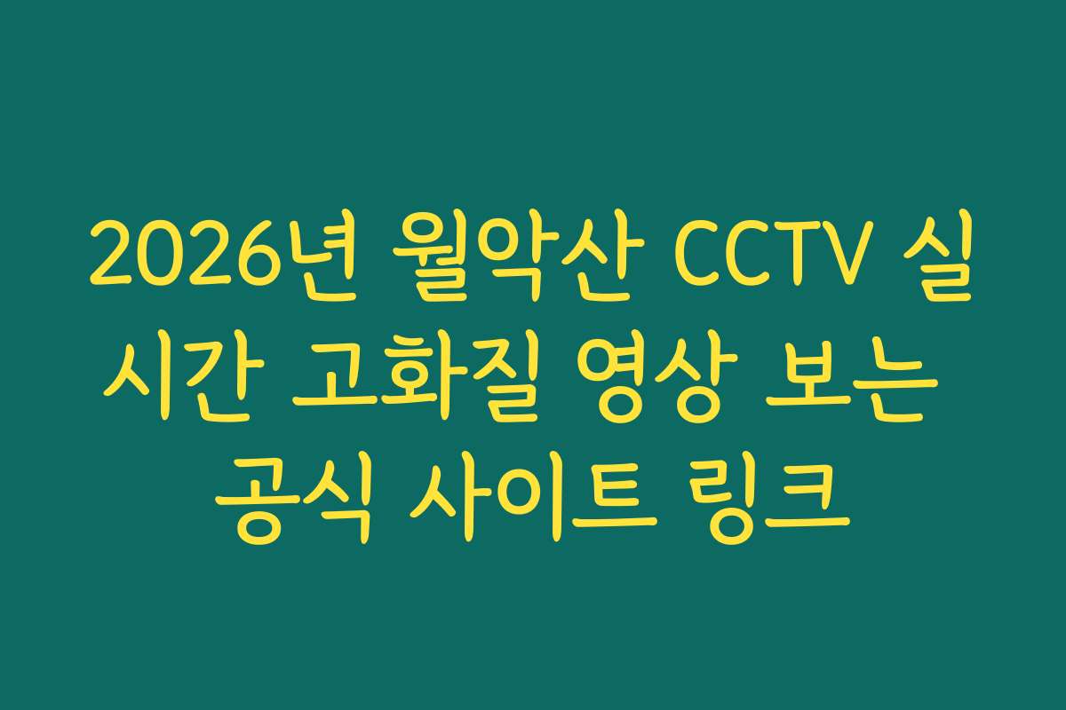 2026년 월악산 CCTV 실시간 고화질 영상 보는 공식 사이트 링크