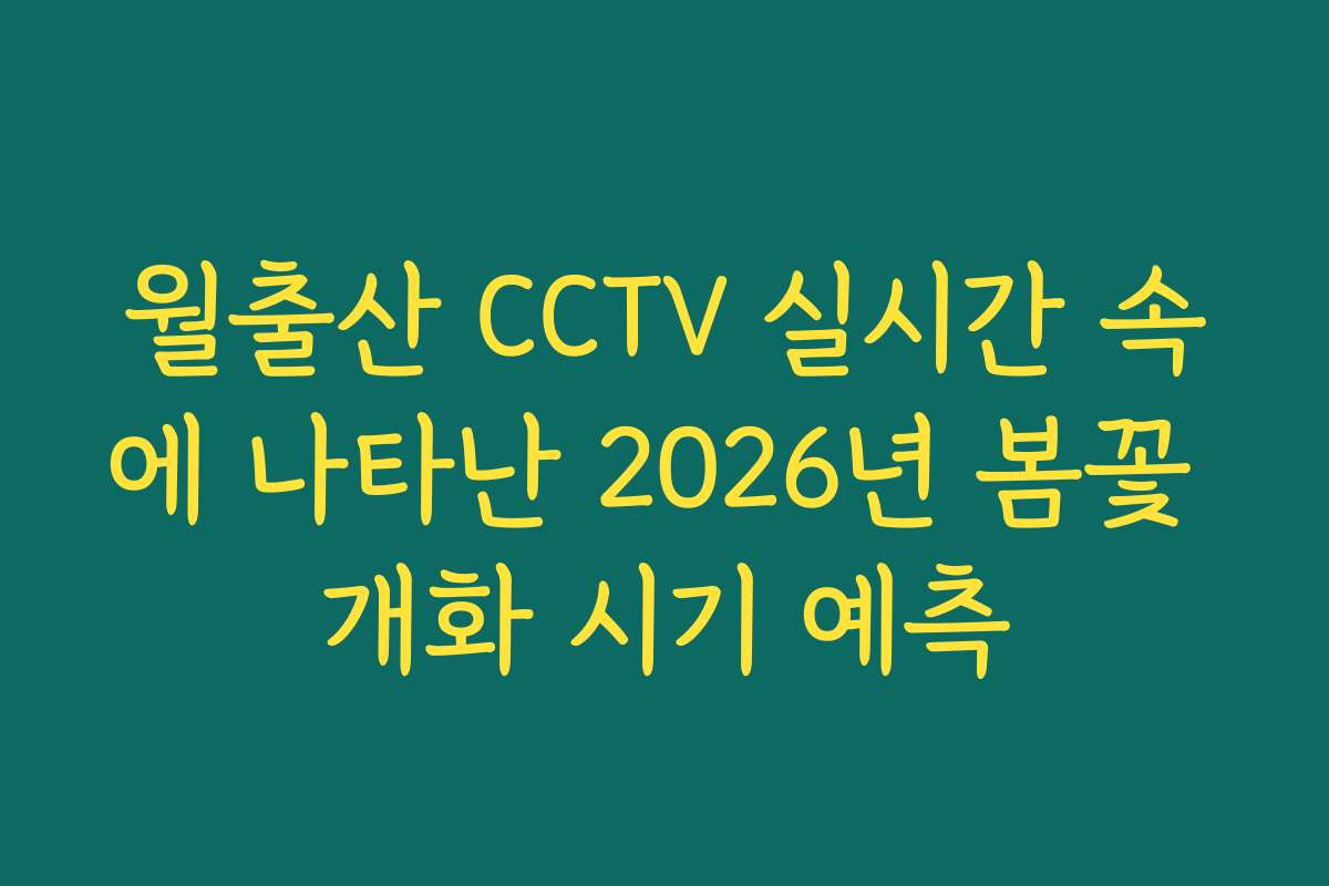 월출산 CCTV 실시간 속에 나타난 2026년 봄꽃 개화 시기 예측