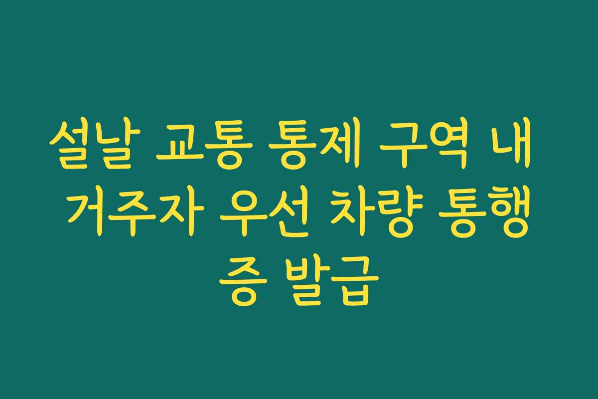 설날 교통 통제 구역 내 거주자 우선 차량 통행증 발급