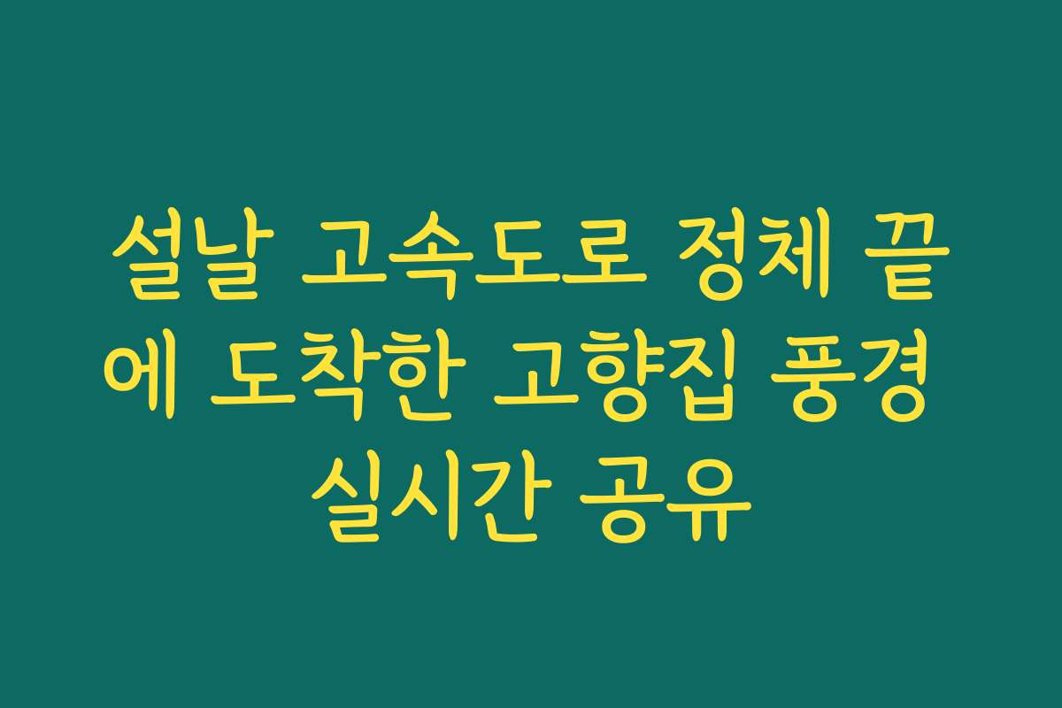 설날 고속도로 정체 끝에 도착한 고향집 풍경 실시간 공유