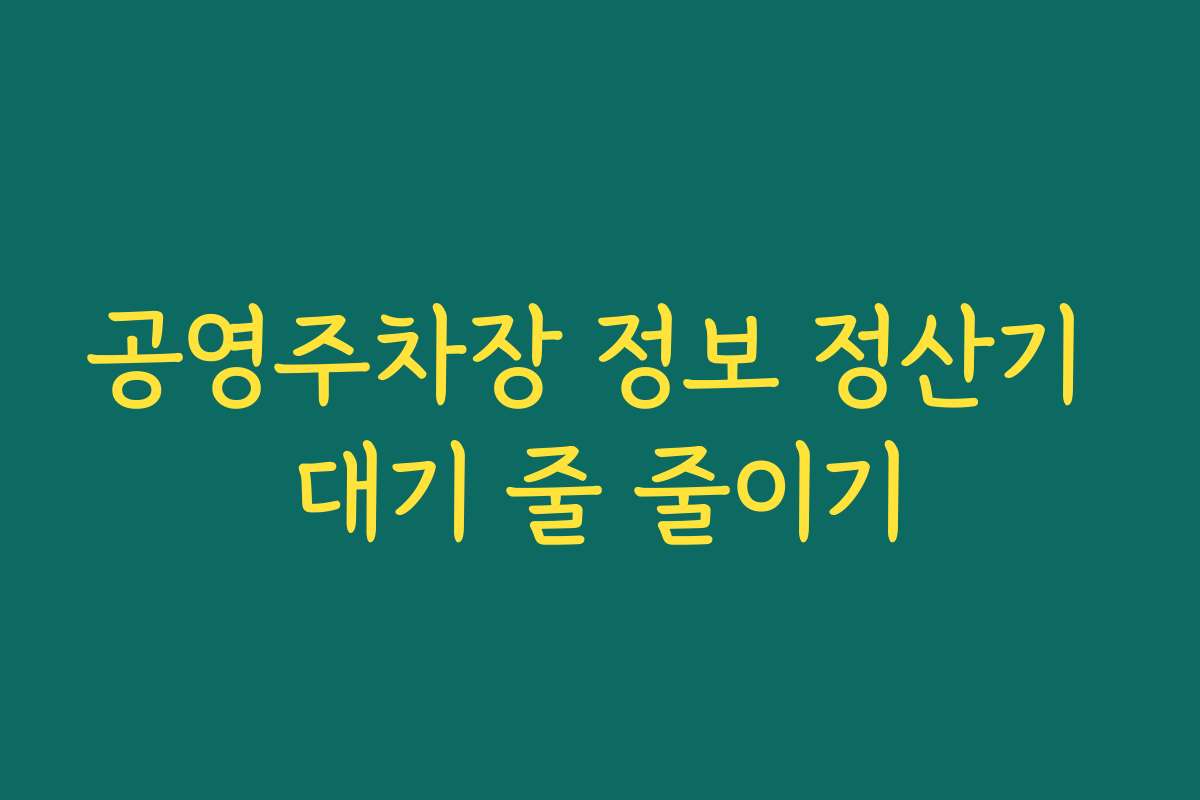 공영주차장 정보 정산기 대기 줄 줄이기