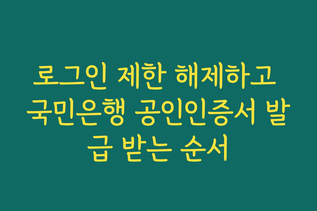 로그인 제한 해제하고 국민은행 공인인증서 발급 받는 순서