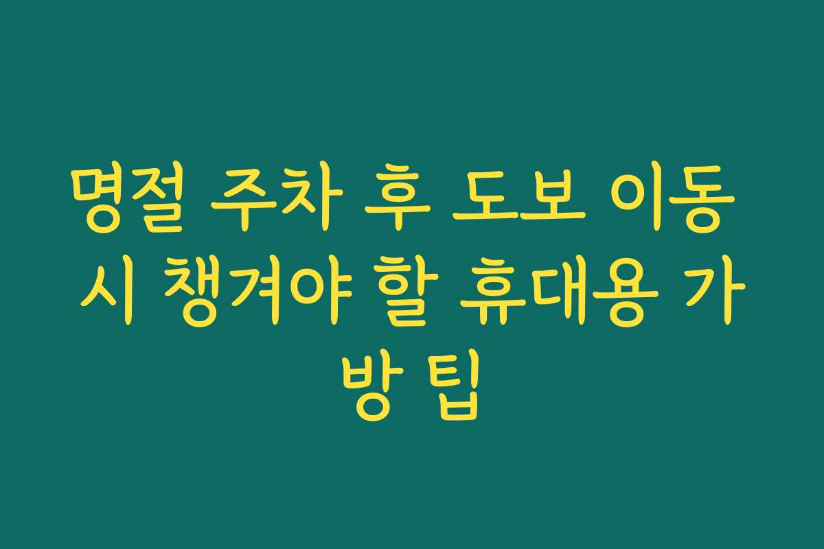 명절 주차 후 도보 이동 시 챙겨야 할 휴대용 가방 팁
