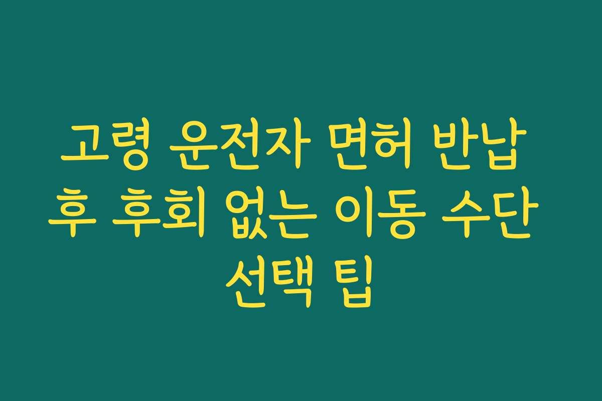 고령 운전자 면허 반납 후 후회 없는 이동 수단 선택 팁