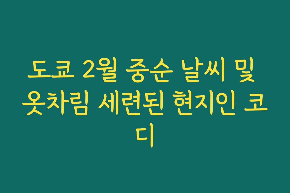 도쿄 2월 중순 날씨 및 옷차림 세련된 현지인 코디