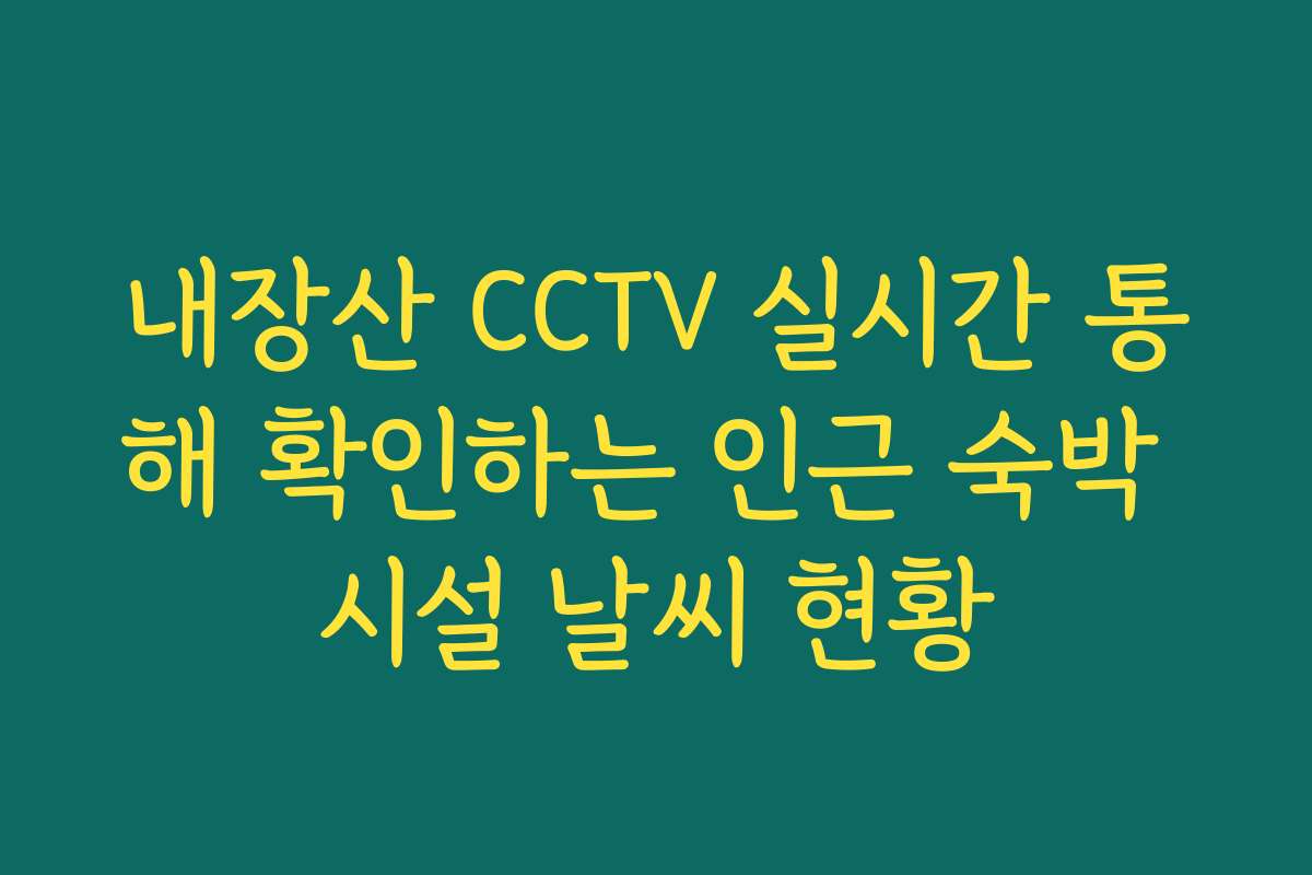 내장산 CCTV 실시간 통해 확인하는 인근 숙박 시설 날씨 현황
