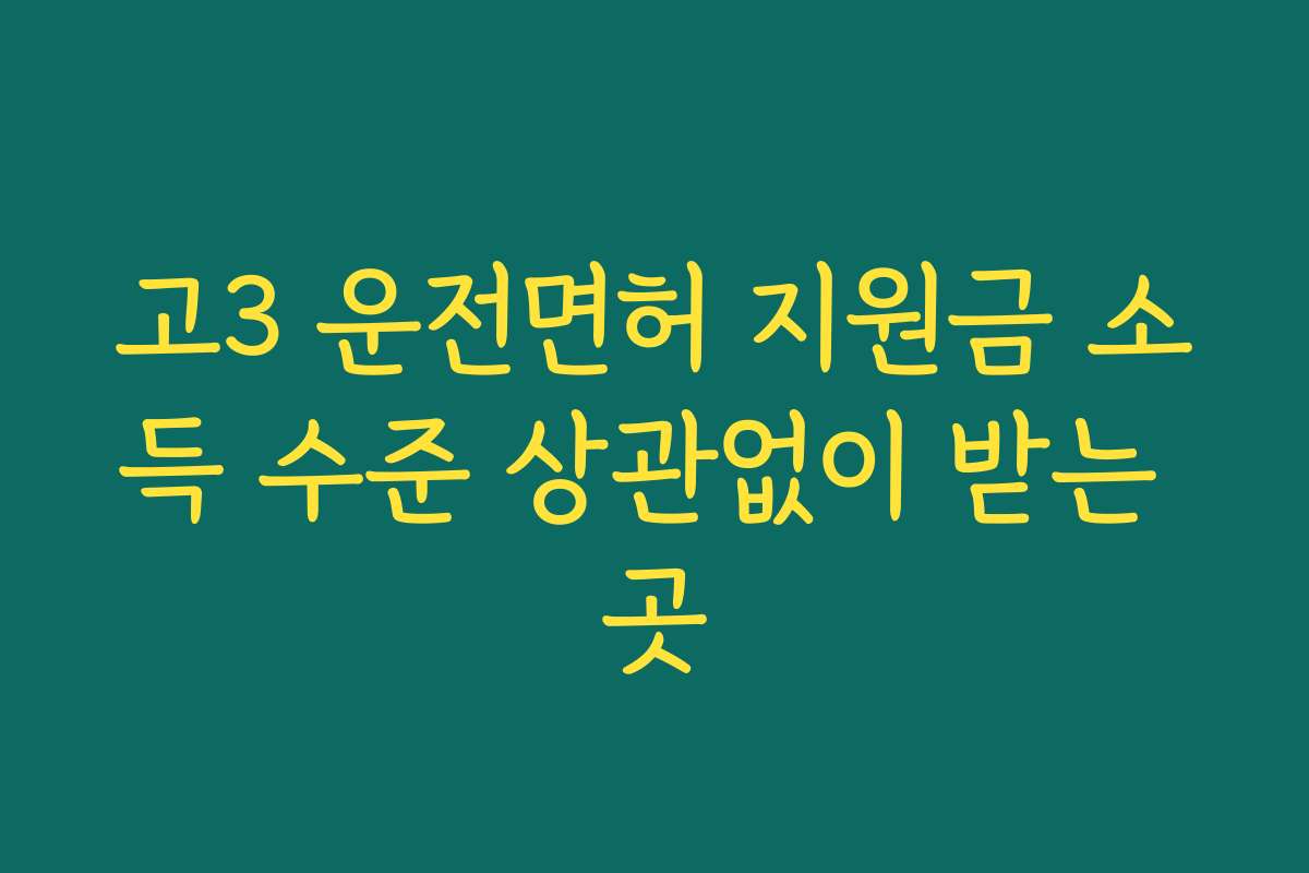 고3 운전면허 지원금 소득 수준 상관없이 받는 곳