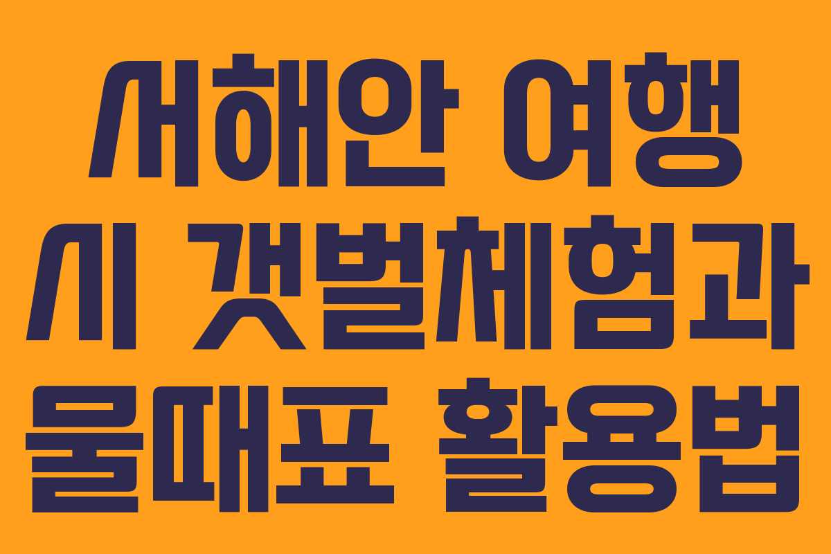 서해안 여행 시 갯벌체험과 물때표 활용법