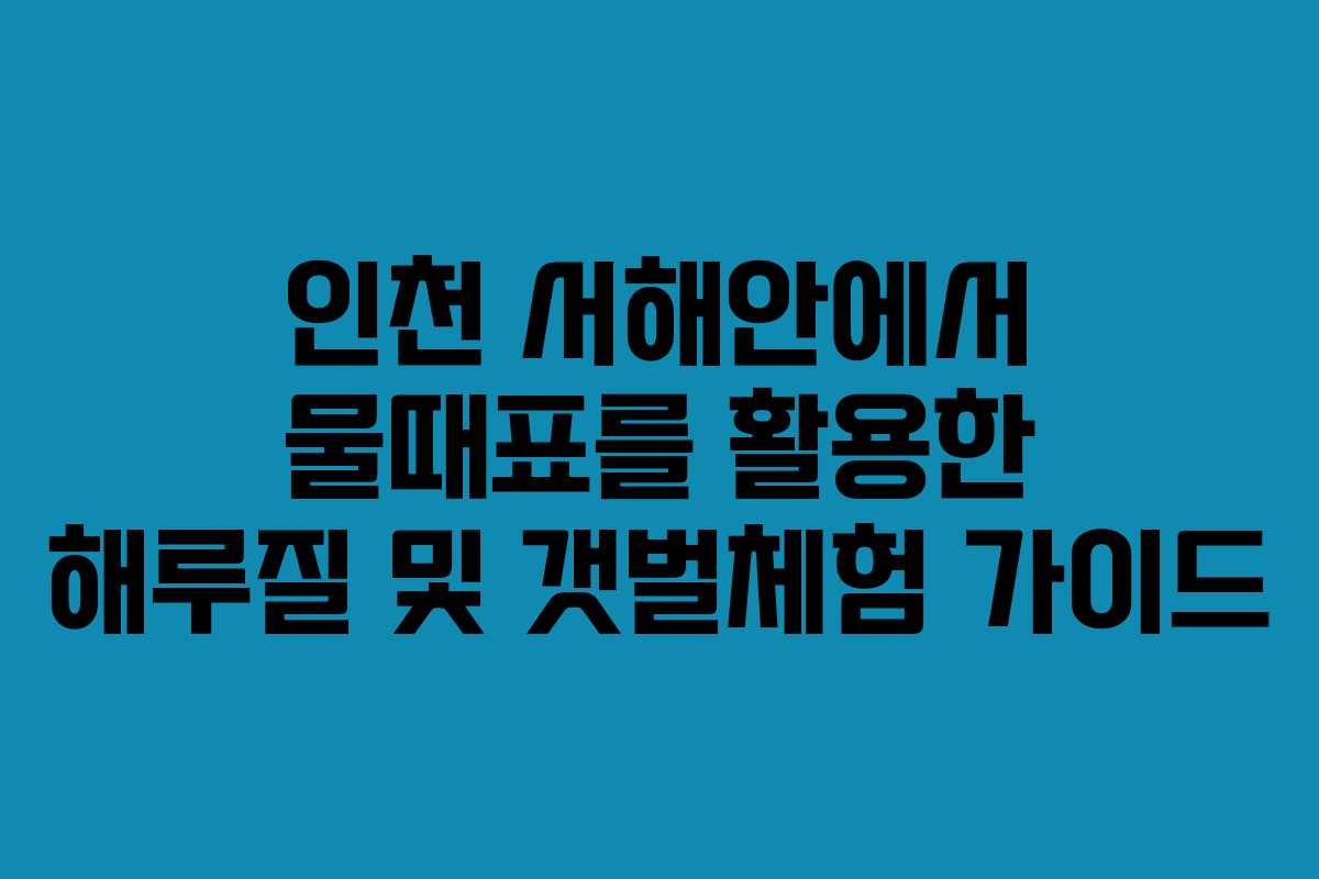 인천 서해안에서 물때표를 활용한 해루질 및 갯벌체험 가이드