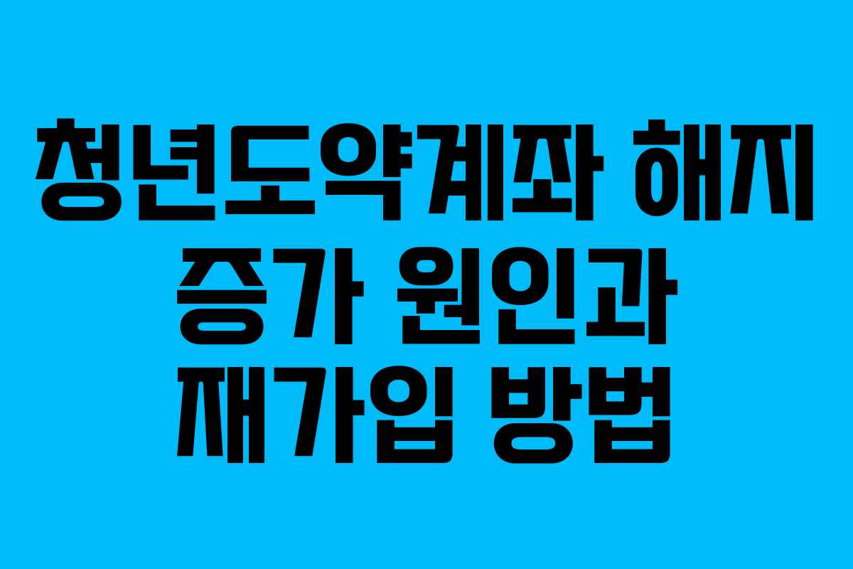 청년도약계좌 해지 증가 원인과 재가입 방법