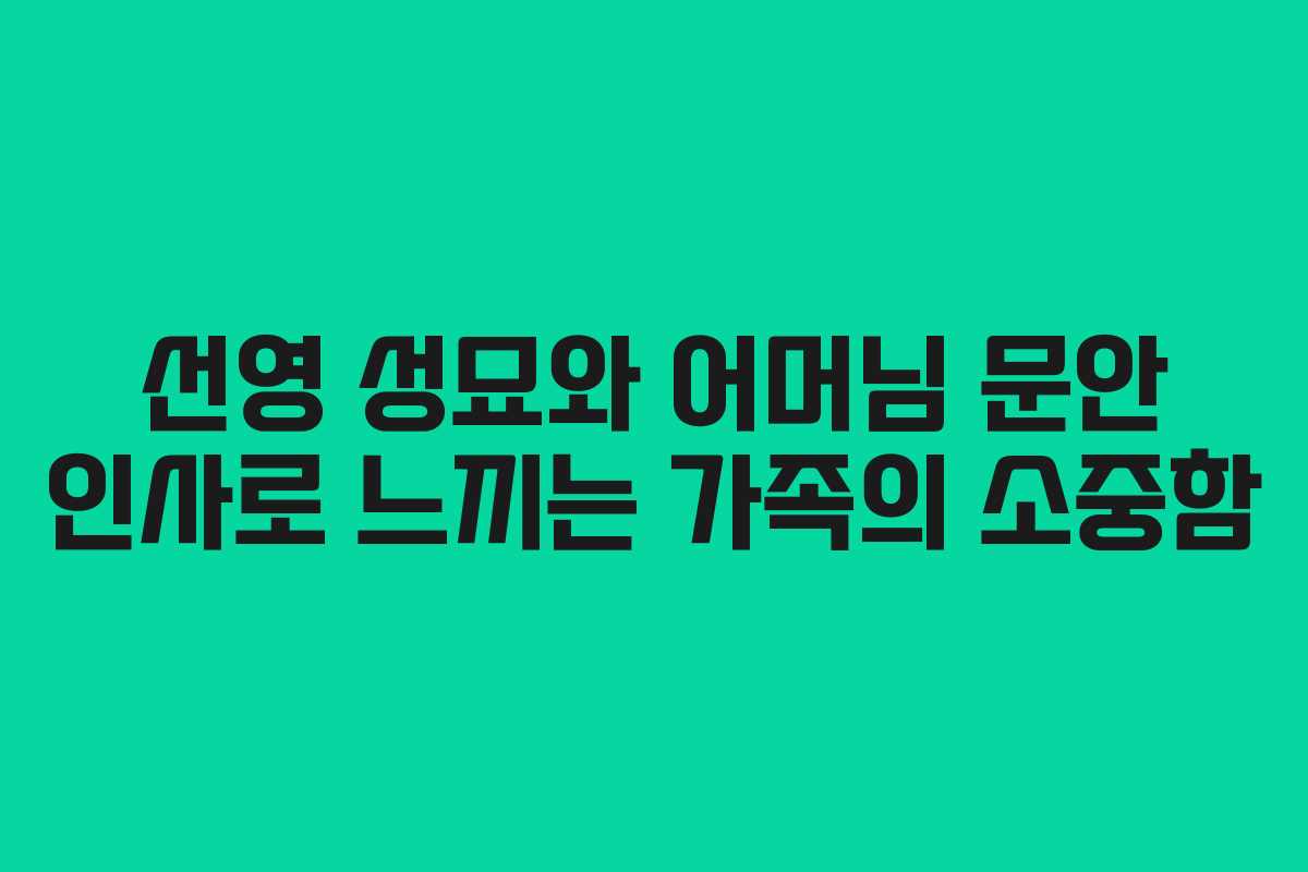 선영 성묘와 어머님 문안 인사로 느끼는 가족의 소중함