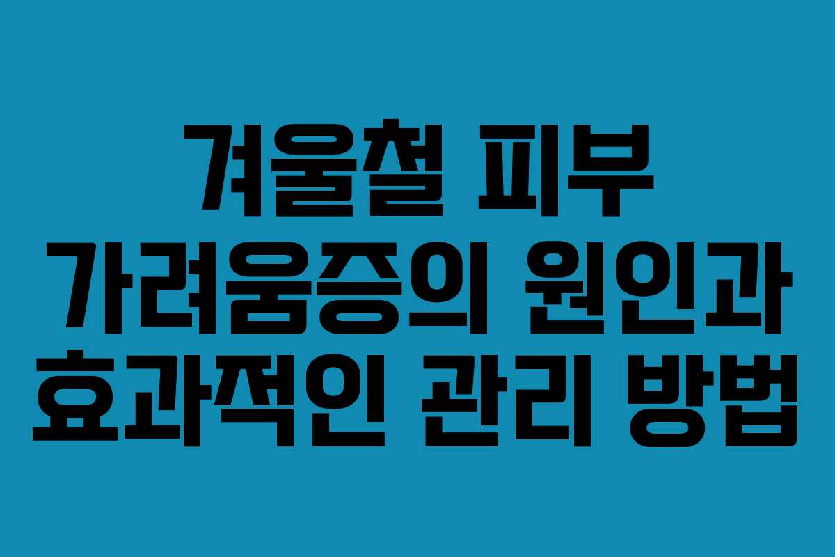 겨울철 피부 가려움증의 원인과 효과적인 관리 방법