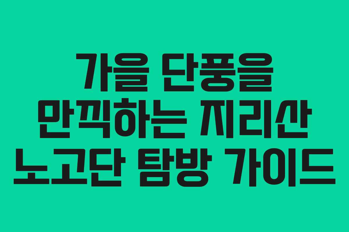 가을 단풍을 만끽하는 지리산 노고단 탐방 가이드