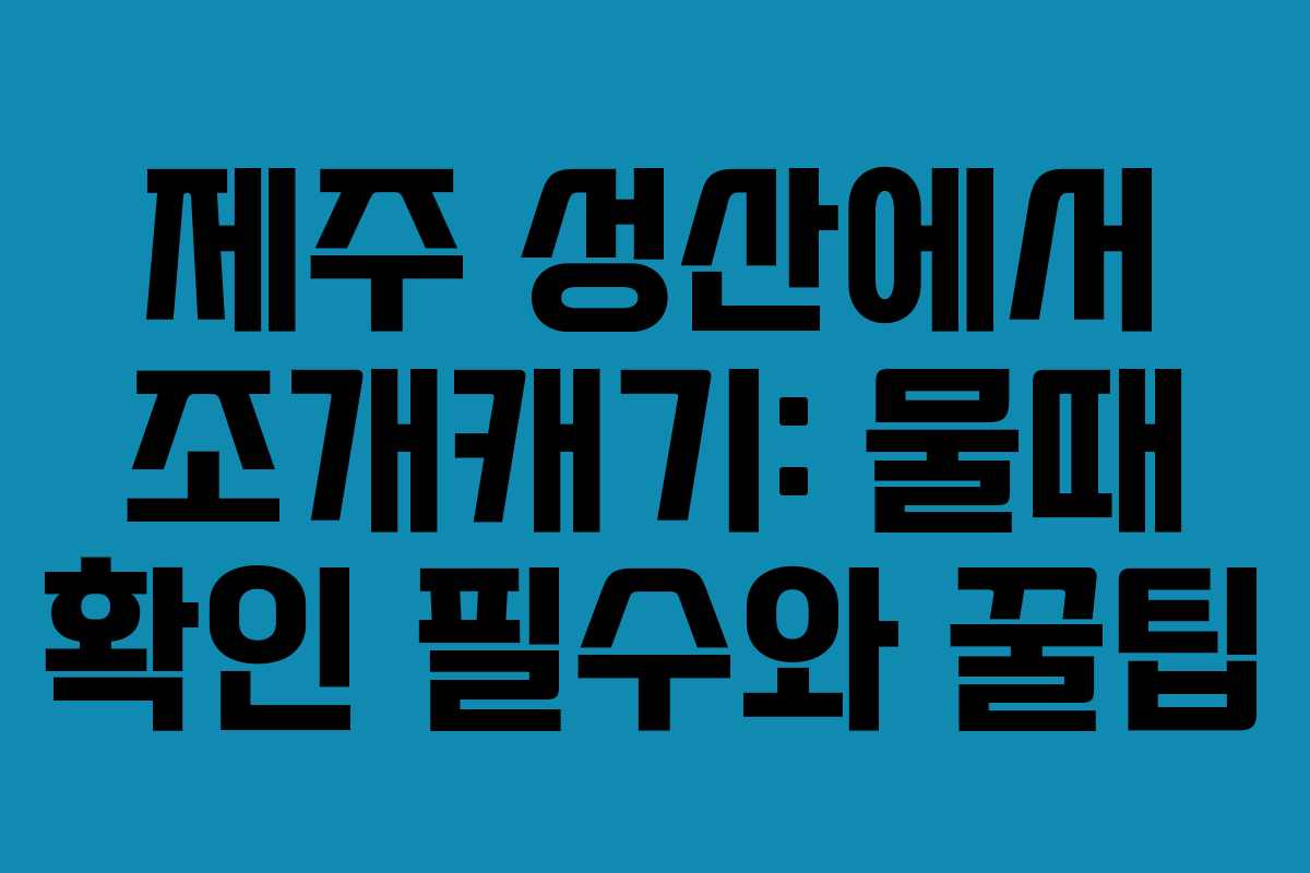제주 성산에서 조개캐기: 물때 확인 필수와 꿀팁