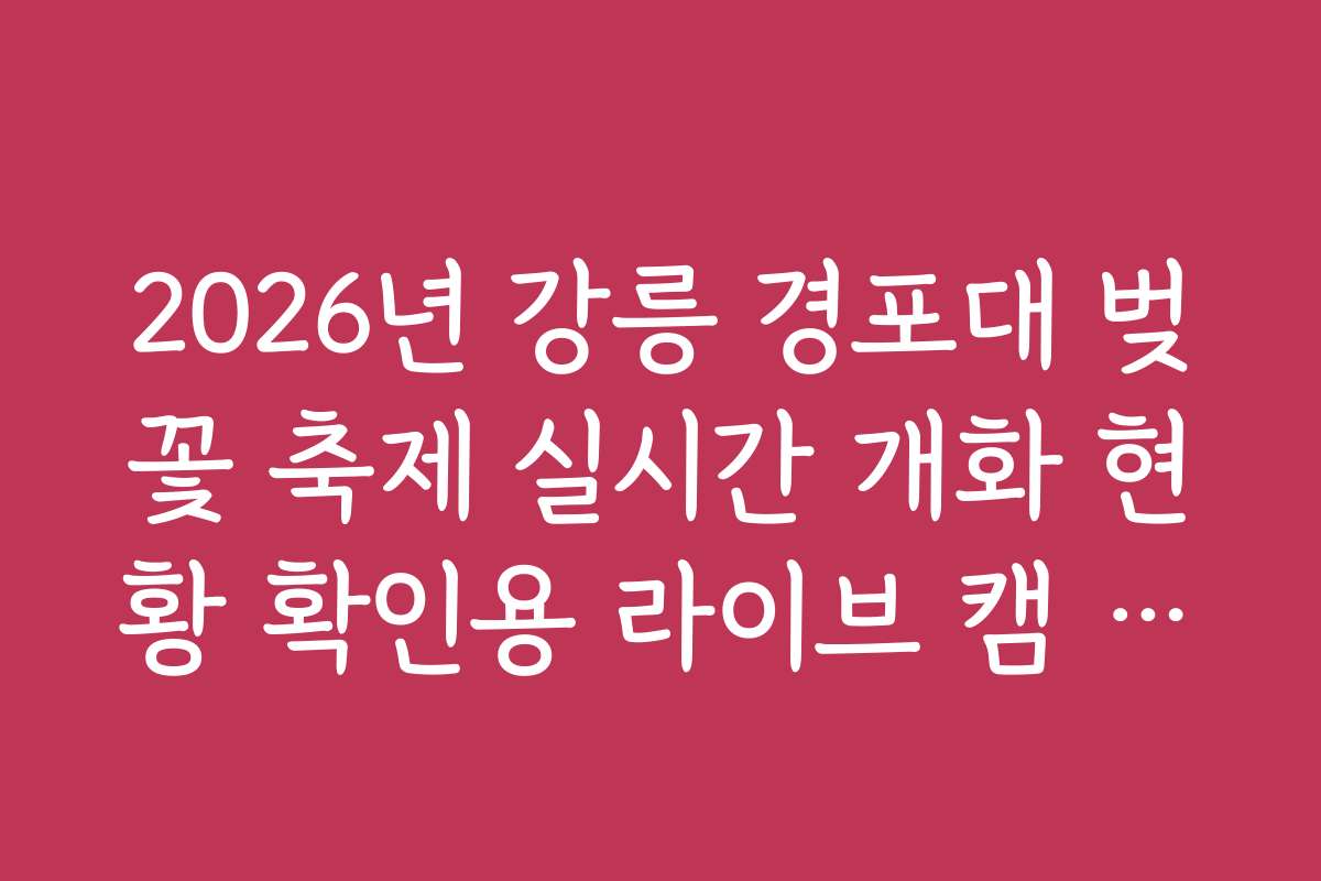 2026년 강릉 경포대 벚꽃 축제 실시간 개화 현황 확인용 라이브 캠 정보