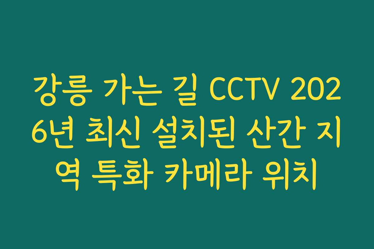 강릉 가는 길 CCTV 2026년 최신 설치된 산간 지역 특화 카메라 위치