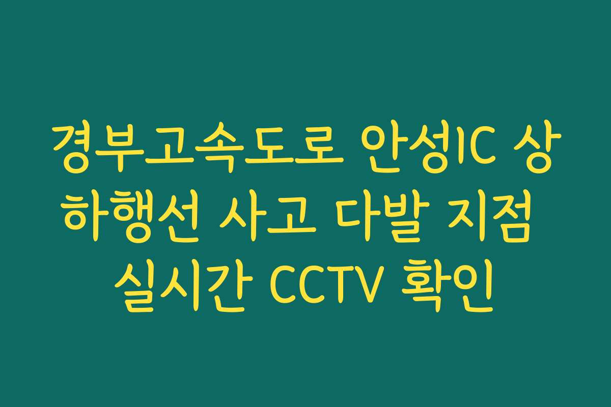 경부고속도로 안성IC 상하행선 사고 다발 지점 실시간 CCTV 확인